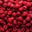 Raspberry1