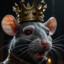 king rat