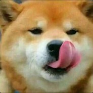 马家功夫点到为止，懂？