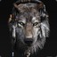 DarkWolf