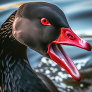 Black Goose