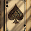 76561198208082288