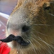 KapibaraPL's avatar