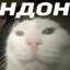 <---Га