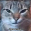 HEEEYYY (meow)