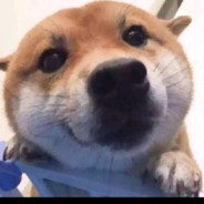 绝情渣男赵日天