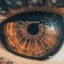 MprojecT_SKRR