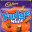 Fudge Minis