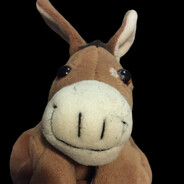 Taco Donkey avatar