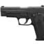 Sig Sauer