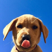 Tqze - steam id 76561198348264298