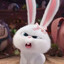 Mandybunny