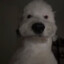 DogGoblin637