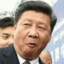 President Xi (real)