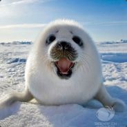 人生三大错觉我能反杀