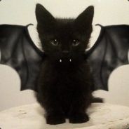 SADP.BlackCat