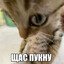 Настя Dust2 раза