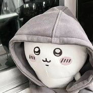 没有素质的细狗