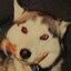 Kiba