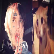 -p4n1czzz322 - steam id 76561198973805149