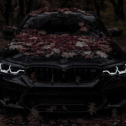 † ᴍᴀᴅ ᴅᴇᴍᴏɴ †