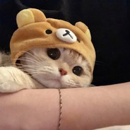 电脑巫师杰洛特