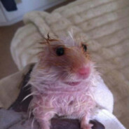 а чо всмысле🤔