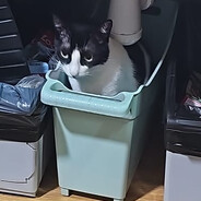 Lluís en caja🥵😎