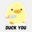 Duckie_IO