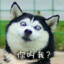 无门