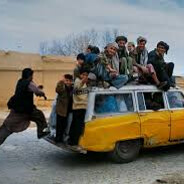 【蛇】mogged by taxi