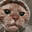 ManhatitanCSGO