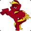 The Firey Pegasus