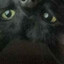Fran4i