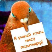 slava R8 prof_boosting