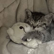 Niszczyciel Światów