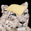 The Cheese Snow Leopard