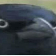 Kevinly Father