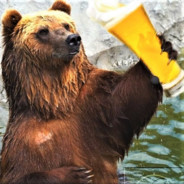 BearskiBrew