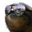Djstewy