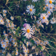 当县长不如当县长夫人