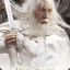 White_Wizard_449