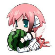 SSPAMM