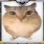 YI Fish