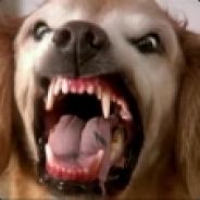 mrscotter - steam id 76561197960387900