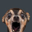 Leip3