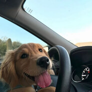 小云发芽的轰轰轰