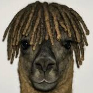 LarpingLlama33