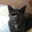 Samuel L. Catson