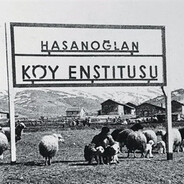 YigitSeng